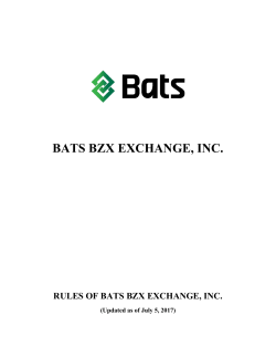 CHAPTER XI - Bats Global Markets