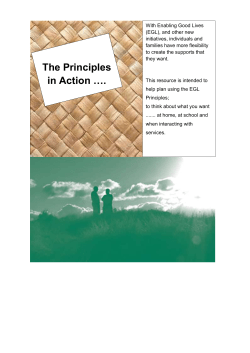 DMSDocument EGL principles in action