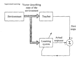 Pattern Recognition tasks by Feed Backward Networks