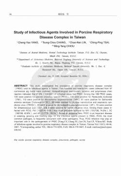 Study of Infectious Agents Involved in Porcine Respiratory Disease