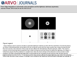 Slide - Journal of Vision