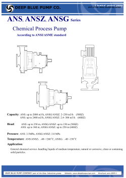 Chemical Process Pump