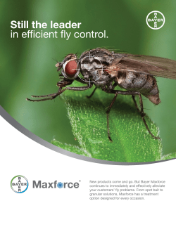 Maxforce Fly Bait Control Sell Sheet