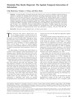 Mountain Pine Beetle Dispersal