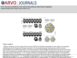 Slide - Journal of Vision