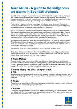 Nurri Millen - a guide to the Indigenous art totems