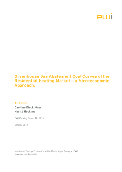 Greenhouse Gas Abatement Cost Curves of the Residential Heating