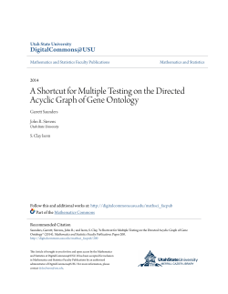 A Shortcut for Multiple Testing on the Directed Acyclic Graph of