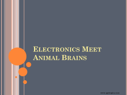 - PPT Topics