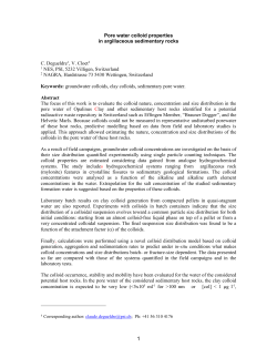 Pore water colloid properties