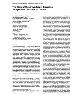 The Role of the Amygdala in Signaling Prospective Outcome of Choice