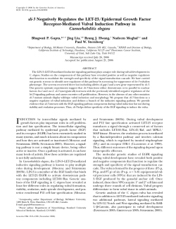 sli-3 Negatively Regulates the LET-23/Epidermal Growth