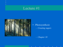 Lecture 3A