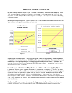 The Economics of Growing Truffles vs