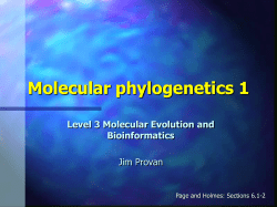 Models of nucleotide substitution