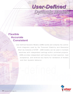User-Defined Dynamic Models