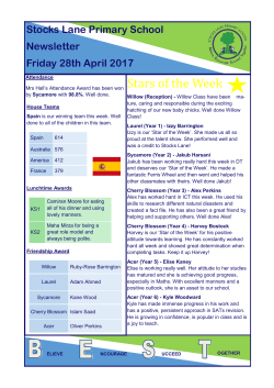 Stars of the Week - Stocks Lane Primary School