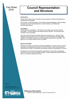 Council Representation and Structure