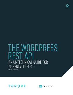 THE WORDPRESS REST API