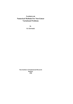 Lectures on Numerical Methods For Non