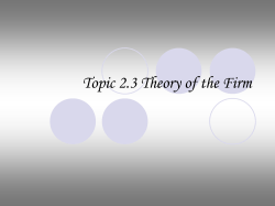Topic 2.3 Theory of the Firm