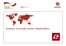 Private Sector Stakeholder Analysis