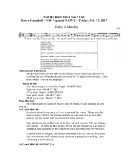 CAT and MOUSE EXTENTION