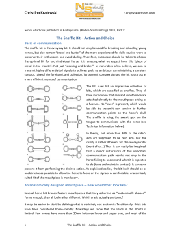 Christina Krajewski The Snaffle Bit &ndash; Action and Choice