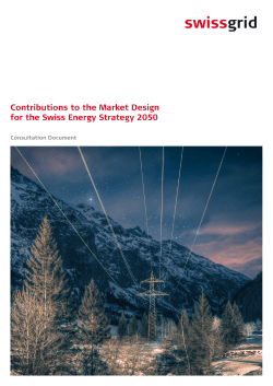 Contributions to the Market Design for the Swiss Energy