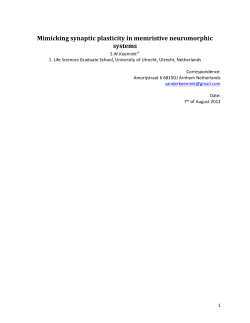 4. Synaptic Plasticity and Memristance