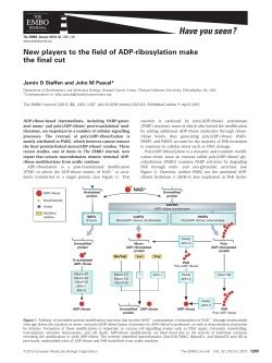 New players to the field of ADPribosylation make the final cut