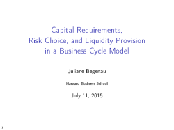 Capital Requirements, Risk Choice, and Liquidity Provision in a