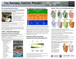 InVEST Poster 030308 FINAL