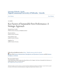 Key Factors of Sustainable Firm Performance: A Strategic Approach