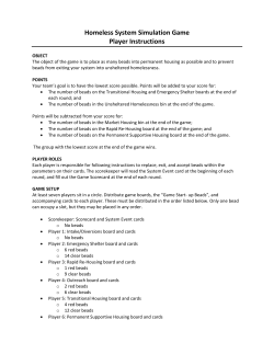 Homeless System Simulation Game Player Instructions