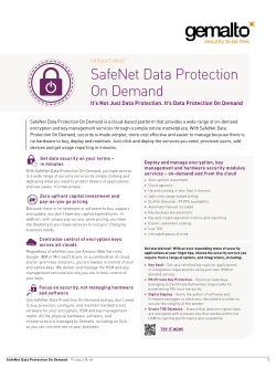 SafeNet Data Protection On Demand