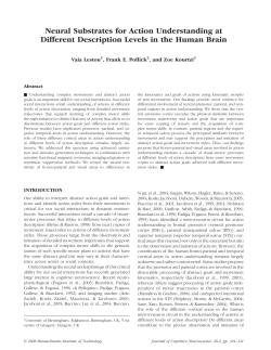 Neural Substrates for Action Understanding at Different Description