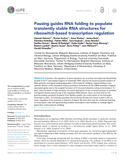 Pausing guides RNA folding to populate transiently stable