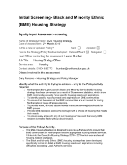 Initial Screening- Black and Minority Ethnic (BME) Housing Strategy