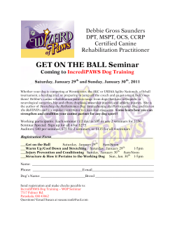 GET ON THE BALL Seminar