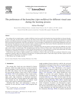 The preferences of the honeybee (Apis mellifera) for different visual