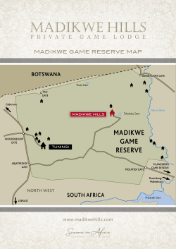 madikwe game reserve