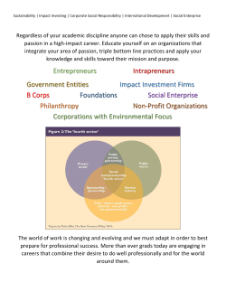 Social Impact Handout