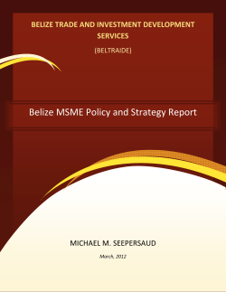 Belize MSME Policy and Strategy Report
