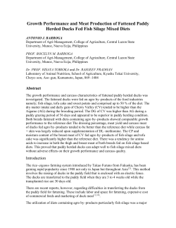 Growth Performance and Meat Production of Fattened Paddy
