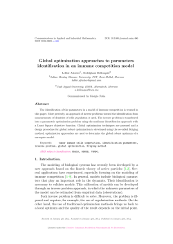 Global optimization approaches to parameters identification in an
