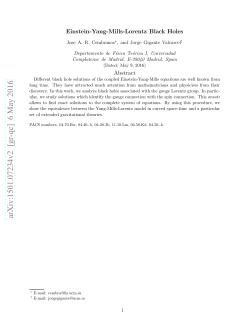 Einstein-Yang-Mills-Lorentz Black Holes