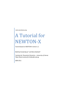 A Tutorial for NEWTON-X