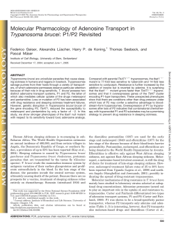 P1/P2 Revisited - Molecular Pharmacology