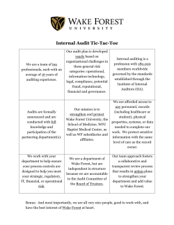 Internal Audit Tic-Tac-Toe - Financial Services